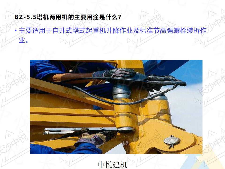 一拖二两用机(图5)