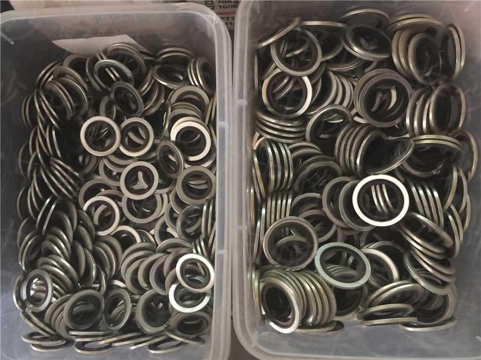 密封圈(图1)
